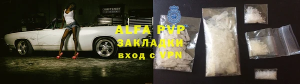 винт Абаза