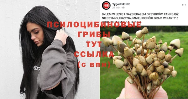соль ск Артём