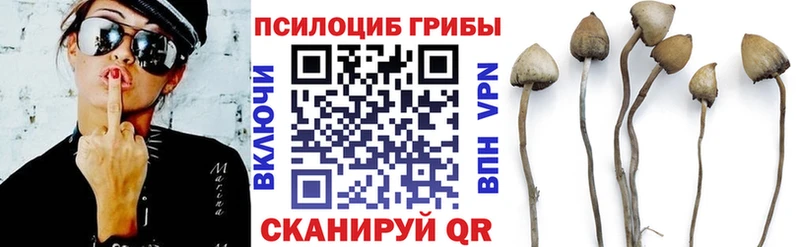 наркота  Уржум  Псилоцибиновые грибы прущие грибы 